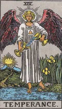 The Tarot card "Temperance" serves as a symbol of balance and moderation. It encourages individuals to find harmony in their lives, blending different aspects and experiences to achieve a sense of equilibrium and inner peace.